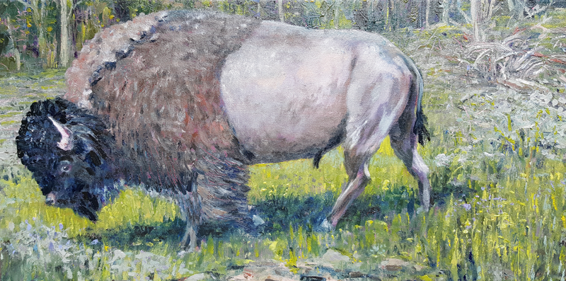 Yellowstone Bison oil painting by April Lombardi